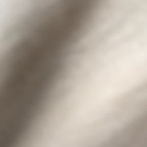 Meet your Posher, Willie